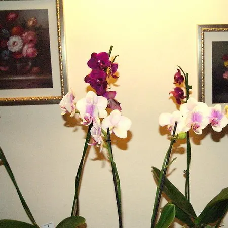 Ristorante Vettore