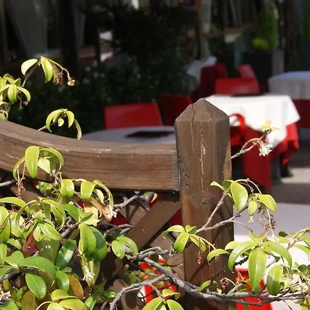Hotel Ristorante Vettore Dolo